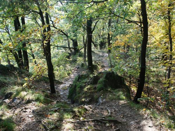 szlak do żabiego oczka