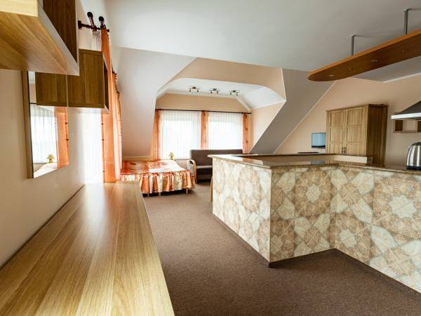 Studio z aneksem kuchennym