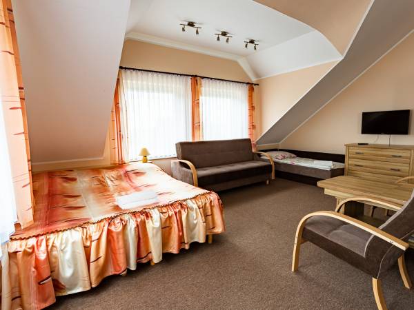 Studio z aneksem kuchennym