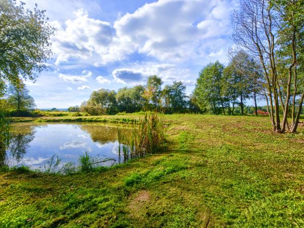 Agroturystyka Domki Nad Rzeką Bałtów Kajaki, Rowery, Basen, JACUZZI 