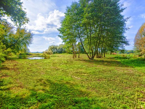 Agroturystyka Domki Nad Rzeką Bałtów Kajaki, Rowery, Basen, JACUZZI 
