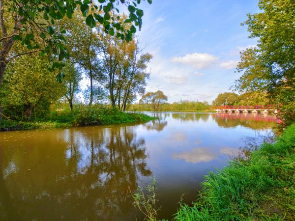 Agroturystyka Domki Nad Rzeką Bałtów Kajaki, Rowery, Basen, JACUZZI 