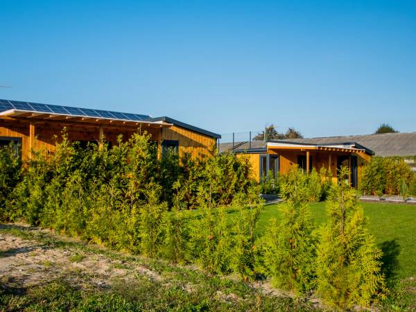 Folwarczna 6 - Domki całoroczne przy lesie, Zwierzyniec-Roztocze.