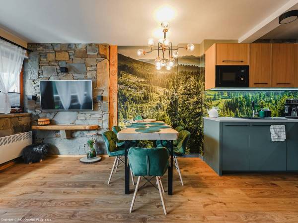 Apartamenty Skała