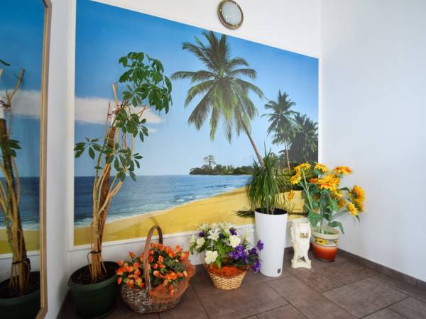 Dom Wczasowy Bliźniak