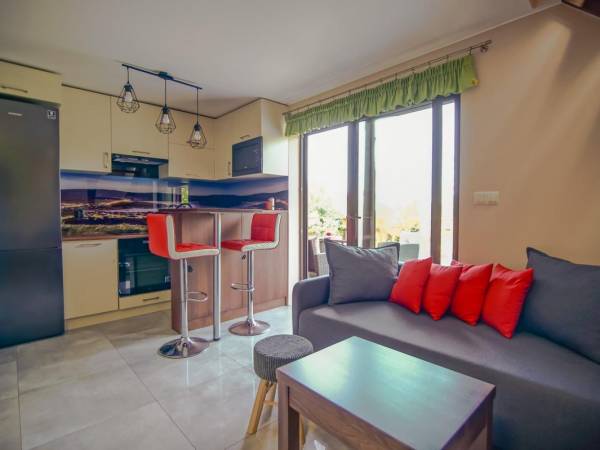 Kuchnia, wyjście na taras, pokój dzienny