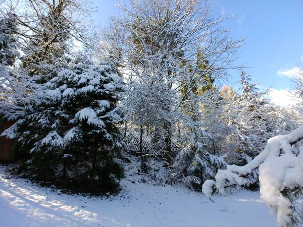 Ośrodek Wypoczynkowy Igor