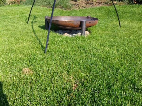 Villa Panorama - Szklany Dom