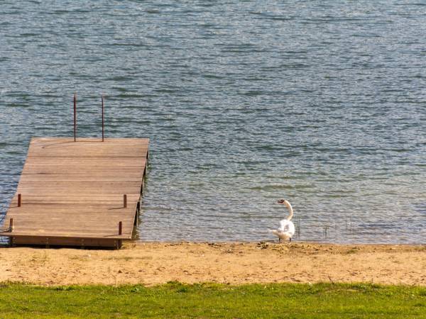 Lobeliowy Port Pomost