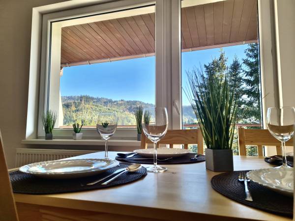 Apartamenty Willa NaSkarpie