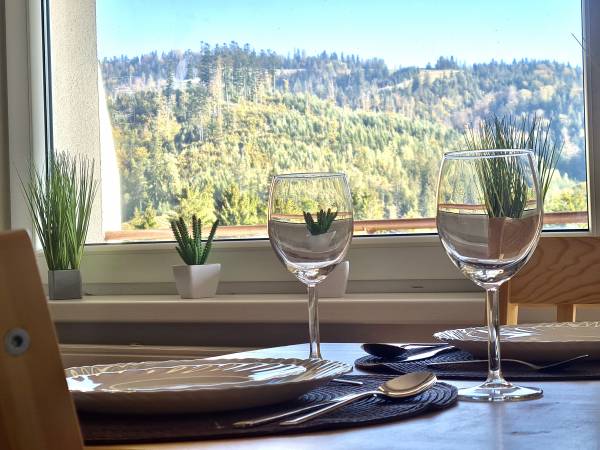 Apartamenty Willa NaSkarpie