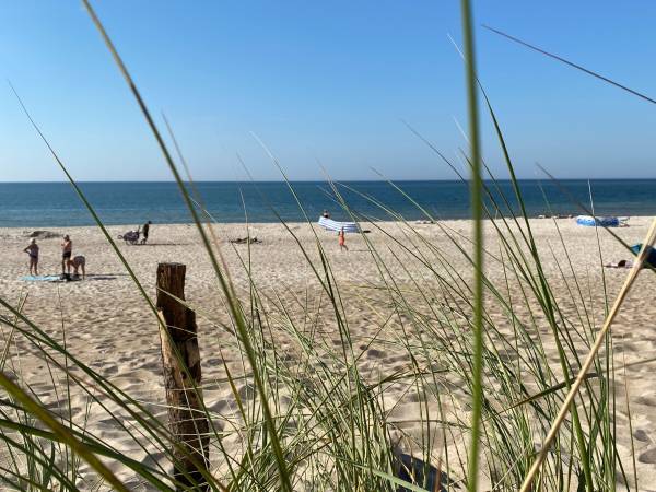 Dom Gościnny Jarek Blisko Plaży 