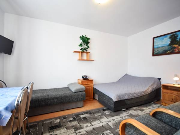 Dynia Roman - Wynajem Kwater