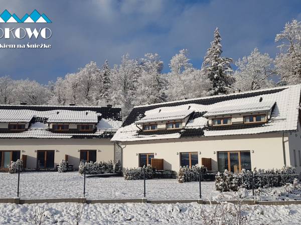 Widokowo - Domy z Widokiem na Śnieżkę z jacuzzi i sauną