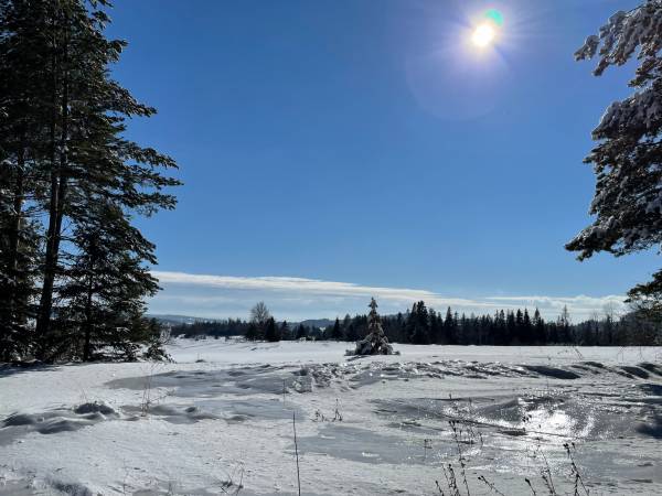 Dom Pod Babią Górą