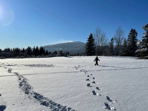 Dom Pod Babią Górą