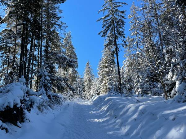 Dom Pod Babią Górą