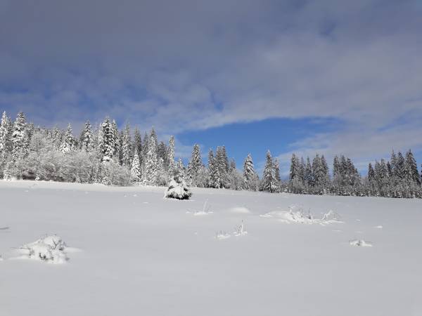 Dom Pod Babią Górą