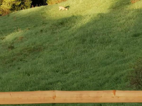 Domek na Ubocy z sauną 