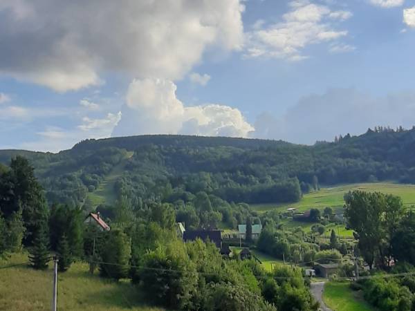 Apartamenty i pokoje Pod Modrzewiem 