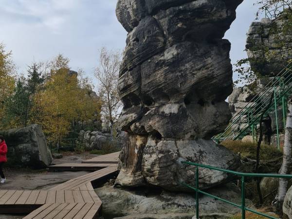 WIELBŁĄD - FORMA NA SZCZELIŃCU