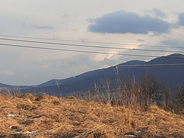 Agroturystyka Pod Złotą Wiechą