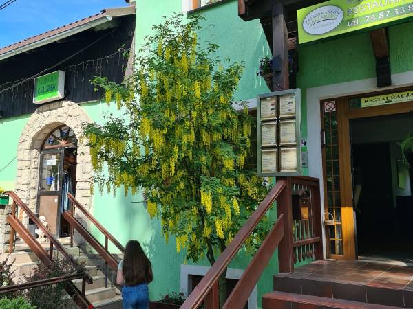 WEJŚCIE DO RESTAURACJI