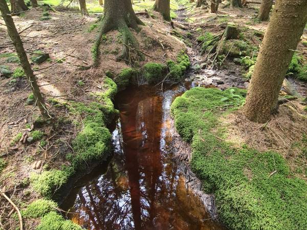 STRUMIEŃ CZERWONA WODA