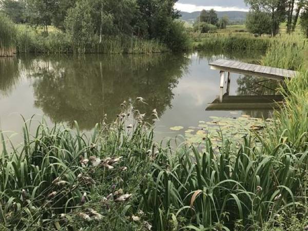 Agroturystyka - pokoje