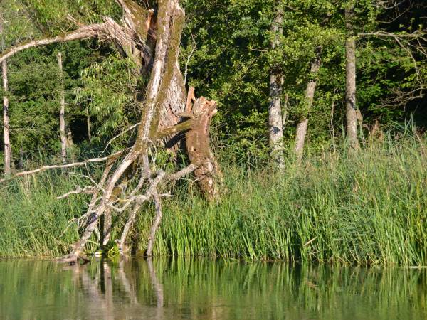 Ośrodek Wypoczynkowy Perła Krutyni 