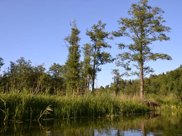 Ośrodek Wypoczynkowy Perła Krutyni 