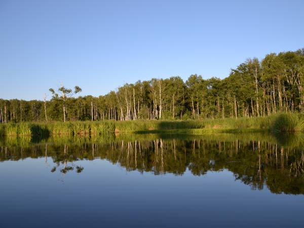 Ośrodek Wypoczynkowy Perła Krutyni 