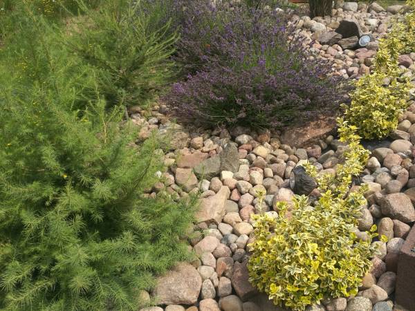 Dom Wczasowy Pięciu Pomostów i Nad Drawskim