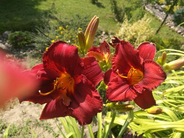 Dom Wczasowy Pięciu Pomostów i Nad Drawskim