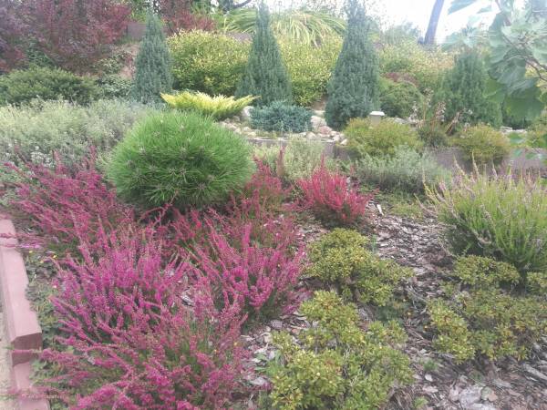 Dom Wczasowy Pięciu Pomostów i Nad Drawskim