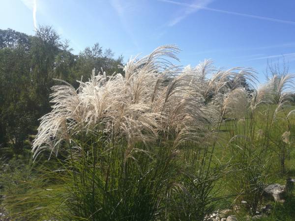 Dom Wczasowy Pięciu Pomostów i Nad Drawskim