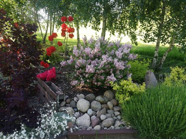 Dom Wczasowy Pięciu Pomostów i Nad Drawskim