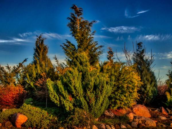 Dom Wczasowy Pięciu Pomostów i Nad Drawskim