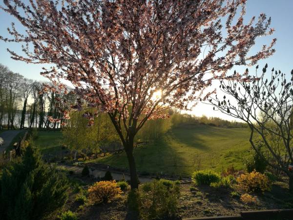 Dom Wczasowy Pięciu Pomostów i Nad Drawskim