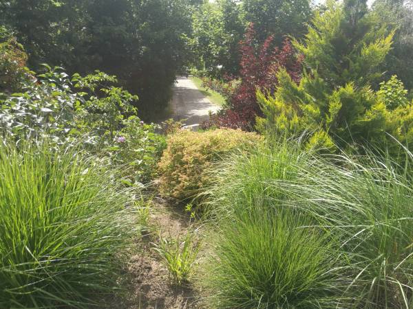 Dom Wczasowy Pięciu Pomostów i Nad Drawskim