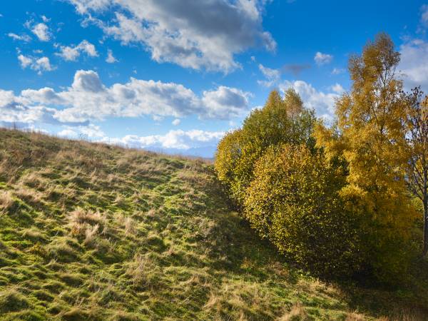 Domek na Fierkowskiej Dolinie