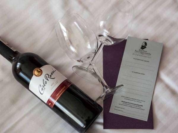 Rezydencja Pod Ochorowiczówką B&B