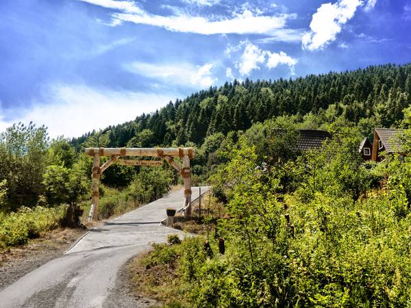 Wzgórze w Cieniu Lasu