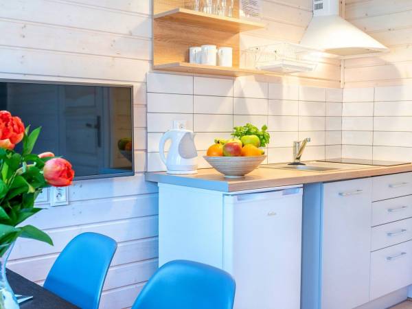 Typ E - salon z aneksem kuchennym