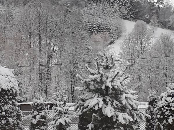 Noclegi pod Jawornikami