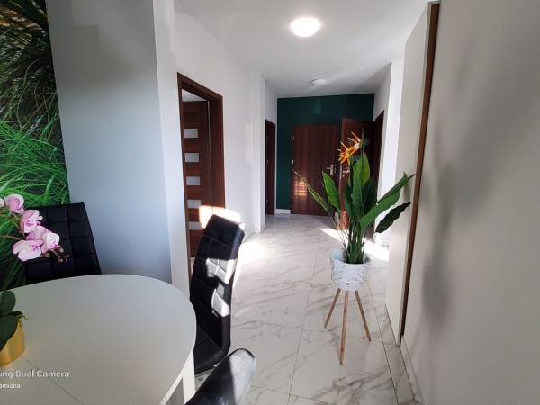 Apartamenty Turkus