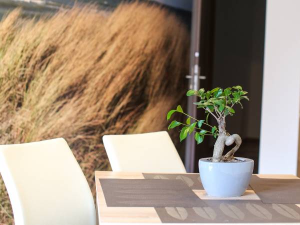 Dom Gościnny U Rekina