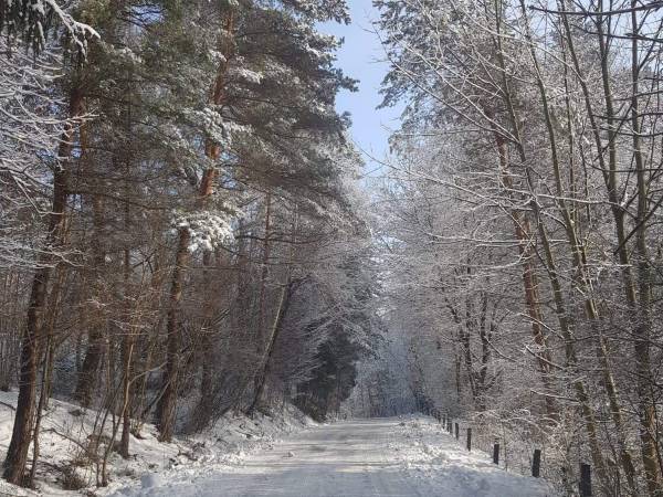 OW Andrzejówka nad Popradem