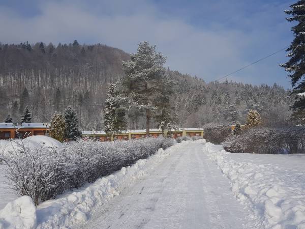 OW Andrzejówka nad Popradem