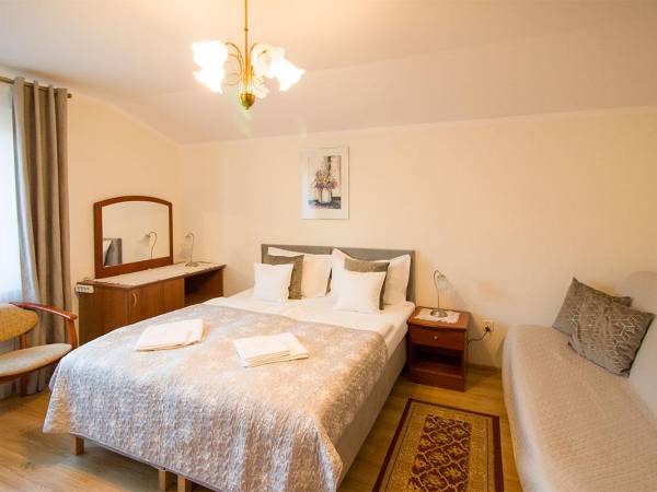 Willa Oliwia Centrum